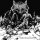 Unleashed – Before The Creation Of Time