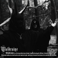 Waldruine – Nachtmeerfahrten /MC