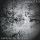 Spectre - Coldness in the Howl