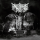Panzerkrieg 666 – I–IV / 2x12 inch Gatefold Splatter Vinyl